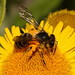 Andrena Andrews Photo 5