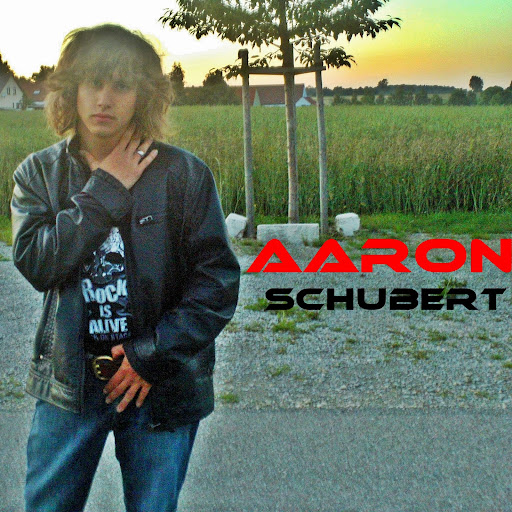Aaron Schubert Photo 16