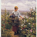 Daniel Ridgway Photo 24