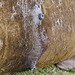 Bertha Seals Photo 9