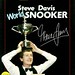 Steve Davis Photo 24