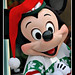 Jan Mickey Photo 8