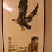 Wing Wu Photo 17