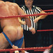 Chris Masters Photo 39