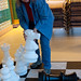 Robin Chess Photo 6