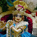 Radha Murthy Photo 7