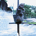 Donald Fountain Photo 16