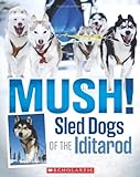 Mush! The Sled Dogs Of The Iditarod