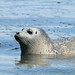 Alan Seals Photo 12