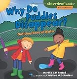 Why Do Puddles Disappear?: Noticing Forms Of Water (Cloverleaf Books - Nature's Patterns)