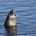 Alan Seals Photo 11